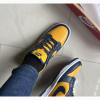 Nike Dunk Low Michigan
