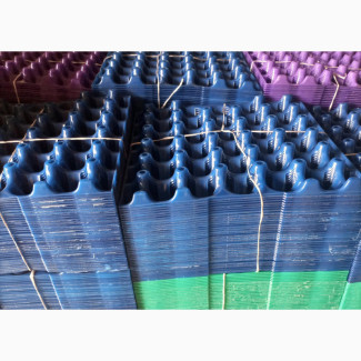 Plastic Egg Tray 100pieces