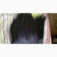 Well Ventilated Full Lace at Very Affordable Price