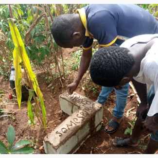4 Plots of Land Available for Sale Beside Lauthec Iseyin
