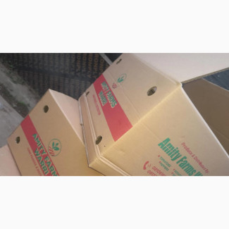 Customize Brown Box for Your Farm Fruit Packaging