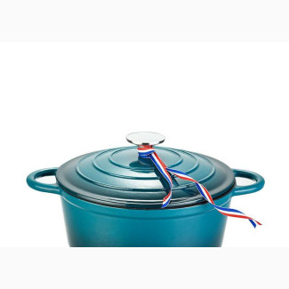 Enameled Die Cast Iron Pot