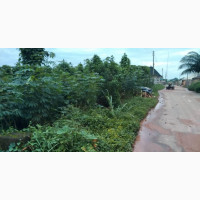 Massive 261 Plots Of Land