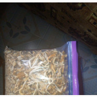 Fresh White Oyster Mushrooms