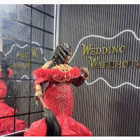 Elegant Traditional Dress