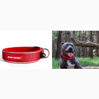 Ezydog LARGE RED Neo Classic Collar Strong Reflective