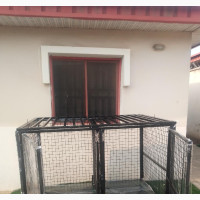 Twin Dog Cage for Large Dogs