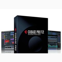 Steinberg Cubase Pro 12 for Windows
