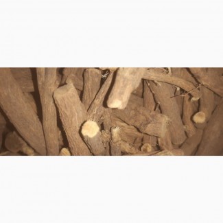 Licorice Root (Ladies Stick)