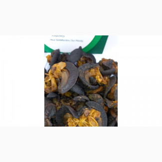 Oven Dried Snail Available - Wholesale and Retail
