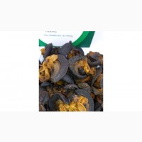 Oven Dried Snail Available - Wholesale and Retail