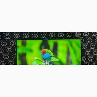 Samsung 43 Smart Ultra HD HDR LED TV With Bluetooth