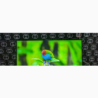 Samsung 43 Smart Ultra HD HDR LED TV With Bluetooth