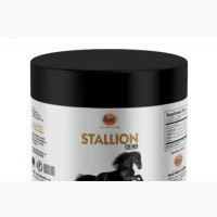Stallion for Men