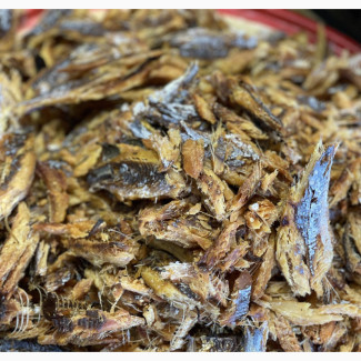 Deboned Bonga Fish for Sale