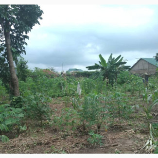 5 Plots of Land Fenced and Gated Facing Main Service Road