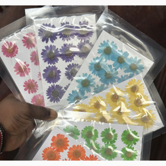 Dry Flowers for Resin Art Works