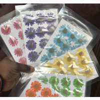 Dry Flowers for Resin Art Works