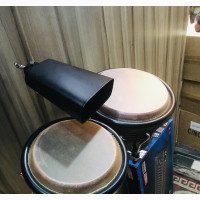 DB Professionals Bongo