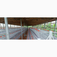 Brand New BATTERY CAGE - Delivery Available