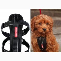 Ezydog BLACK SMALL Chest Plate Harness + Car Seat Restraint