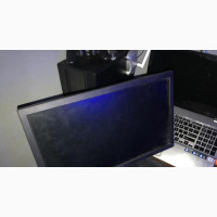 Dell 19” Monitor