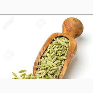 Fennel Seed - Boost Your Beauty Naturally