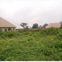 Acres of Land for Sale