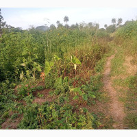 Acres of Land for Sale