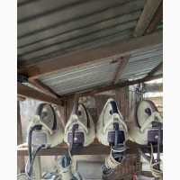 Tefal Industrial Steam Iron - Different Colours Available