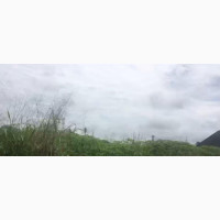 50feet By 100feet Land For Sale
