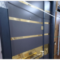 Security Luxury Door, With Gold Stripe