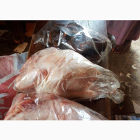 Frozen Chicken and Smoke Catfish for Sale