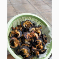 Jombo Snails - High Quality Dried Snails Available