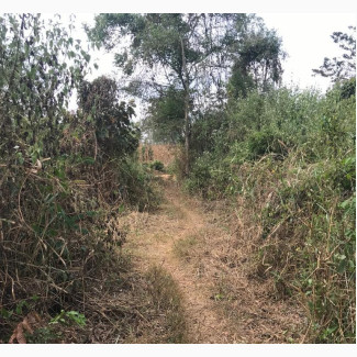 Acres of Land Available