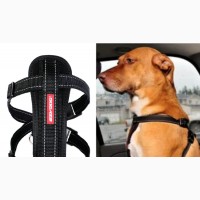 Ezydog BLACK EXTRA LARGE Chest Plate Harness + Car Restraint