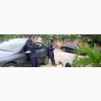 Pest Control and Fumigation Services Available