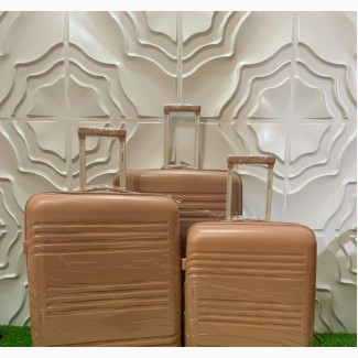 Rose Gold Rubber Luggage Box