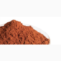 Pine Bark Extract (50g)