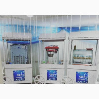 Kids Party Services