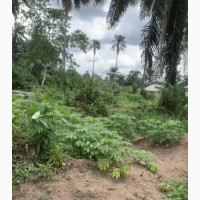 2, 500sqm Bare Plots in an Upcoming Estate