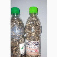 Dehydrated Locust Beans