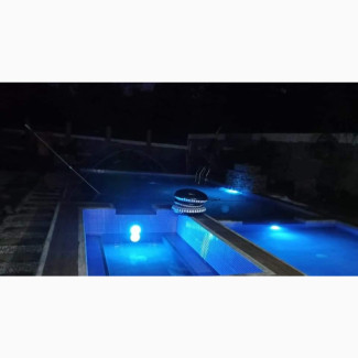 Luxurious Swimming Pool Design