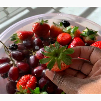 Nutrition Search Assistant Needed