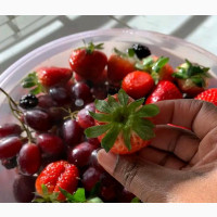 Nutrition Search Assistant Needed