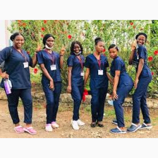 College of Nursing Sciences, UCH, Ibadan, Oyo State 2025/2026 Admission Form is Out Call