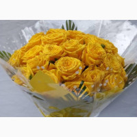 Yellow Roses