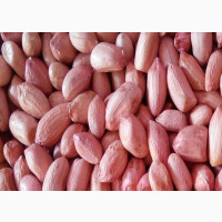 Groundnuts Supplier and Exporter