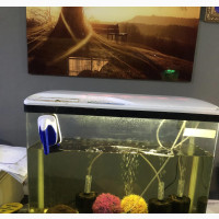 64L Imported Aquarium