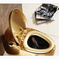 Egg Shape Gold Conceal Watercloset